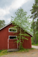 Lapland camping in the forrest of finland
