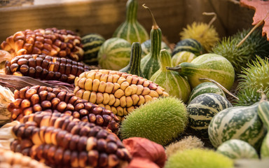 Biogemüse auf einem Marktstand zum Erntedankfest