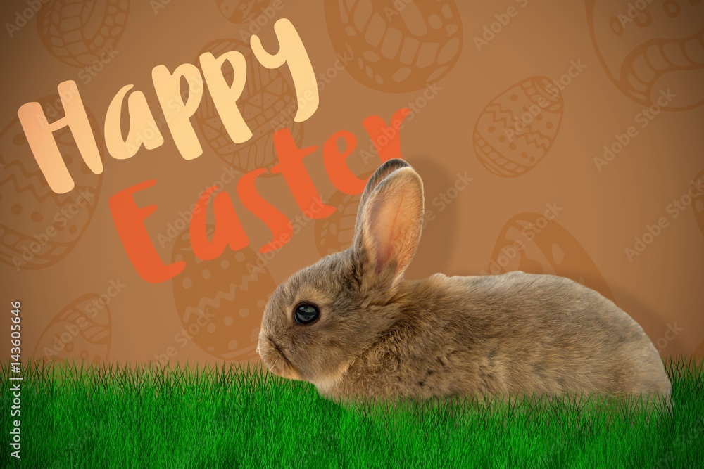 Poster composite image of side view of brown rabbit
