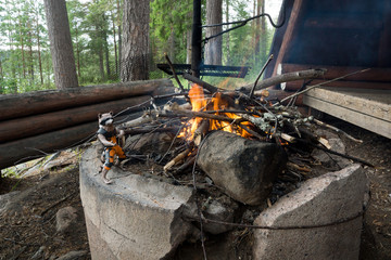 Campfire in forrest