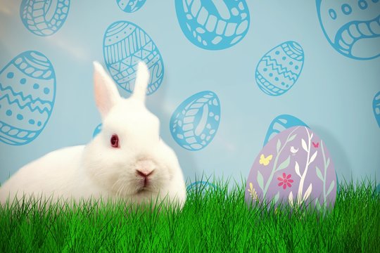 Composite image of rabbit over white background