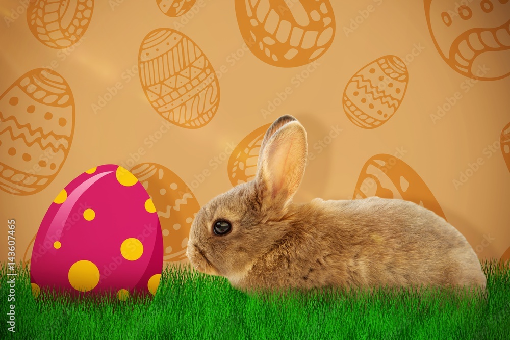 Poster composite image of side view of brown rabbit