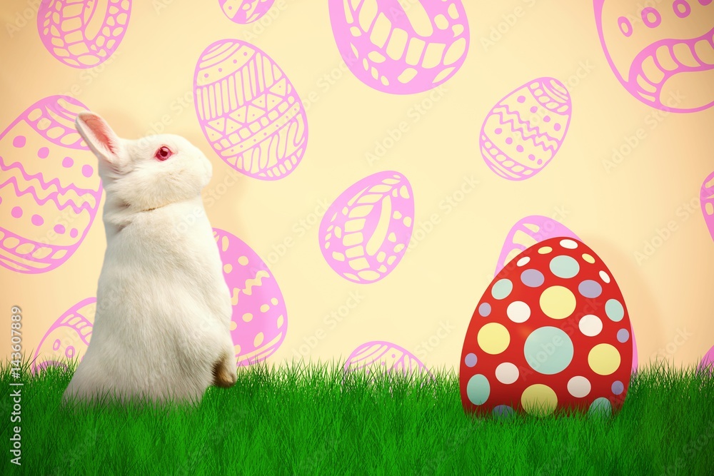 Poster composite image of side view of cute rabbit