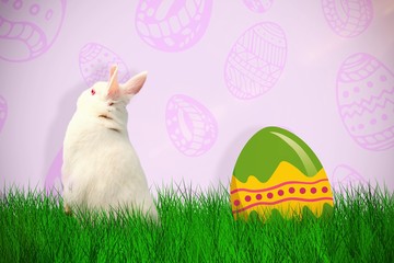 Composite image of rear view of cute rabbit 