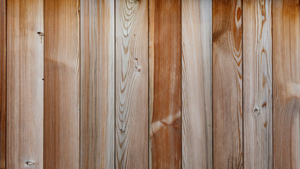 wood  wall texture background.  wood texture. wood background