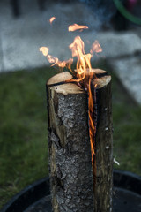 Swedish torch fire burning stub on plate for rest or to cook food chill mood