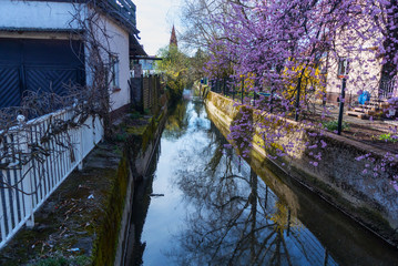 Old Canal Goes Through The Town