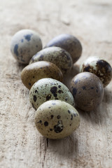 Obraz premium quail eggs