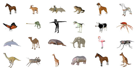 Big collection of sketch animals isolated on white 3d rendering
