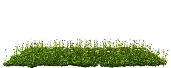 Green grass with flowers. isolated on white background 3d rendering