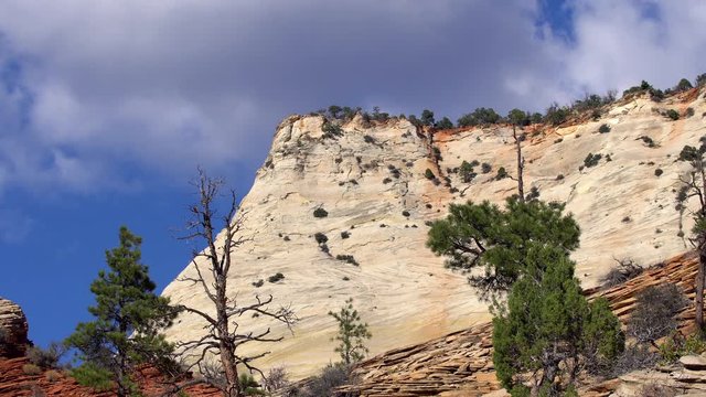View of cliff in Zion National Park
