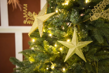 Fototapeta na wymiar Christmas Stars On Tree