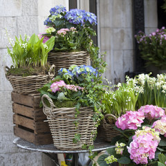 wicker baskets with a pink and blue hydrangea, red Kalanchoe and ivy adorn the entrance to the house