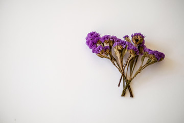 small bouquet of purple flowers on white background