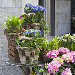 the wicker baskets with a pink and blue hydrangea, red Kalanchoe and ivy adorn the entrance to the house