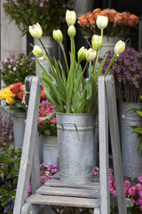 the bucket with a bouquet of yellow tulips in a vase as a decoration for the entrance of the house