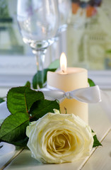 White rose on white background