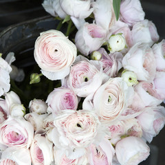 the background with bouquet of pink Ranunculaceae for sale