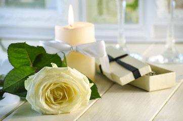 White rose on white background