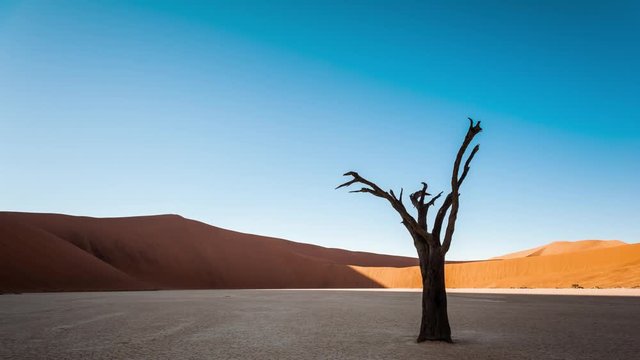 Static timelapse of a landscape scene in Deadvlei, Namibia with a solidified tree in a white clay pan as the sun rises over the red sand dunes available on request.
