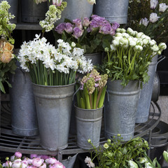 the White daffodils in an aluminum bucket as adornment of the entrance