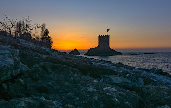 Black sea ,tea garden