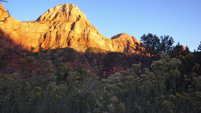 View of  cliff at sunset glowing in Zion National Park.