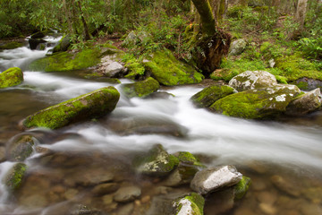 Roaring Forks Motor Trail Details