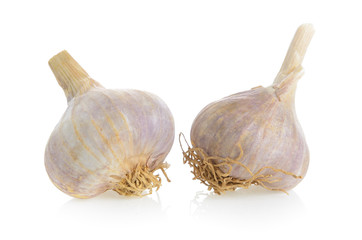 garlic on white background