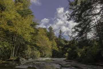 Fototapeta na wymiar Rapids on Swallow Creek