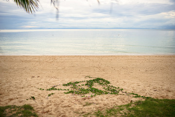 Tangalooma Island beach in Moreton Bay.