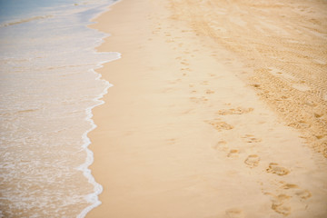Tangalooma Island beach in Moreton Bay.