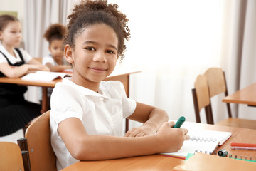 Beautiful elementary schoolgirl studying in classroom