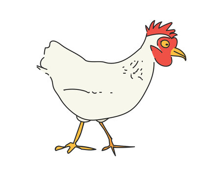 Vector chicken. Hand drawn illustration
