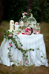 Beautiful wedding arrangement - table with wedding decorations in the nature