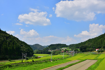 夏の鳥取岡山県道8号線沿線の風景(2016年8月)