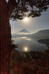 山の木の影から覗き見る富士山 
