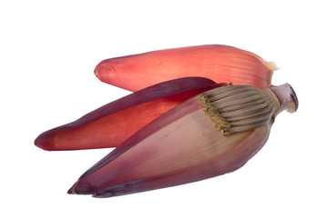Banana Flower
