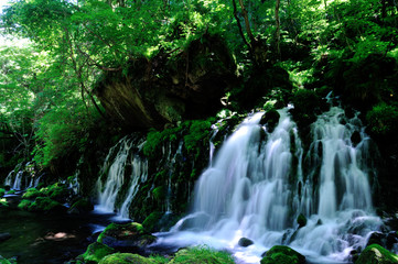 Spring　waterfall  1　