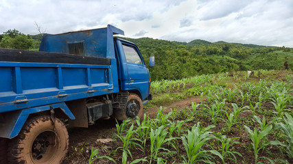 Truck in Crop Field