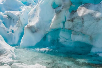 Foto auf Acrylglas Gletscher Fox glaciers Southern island, New Zealand