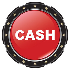 cash icon