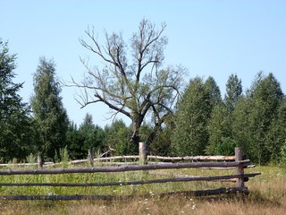 Пейзаж с деревянной оградой