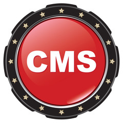 Fototapeta premium cms icon