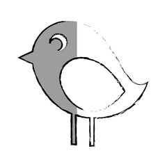 cute bird isolated icon