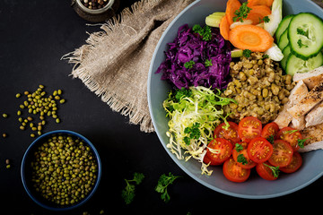 Healthy salad with chicken, tomatoes,  cucumber, lettuce, carrot, celery, red cabbage and  mung bean on dark background. Proper nutrition. Dietary menu. Flat lay. Top view