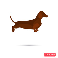 Dachshund dog color flat icon for web and mobile design