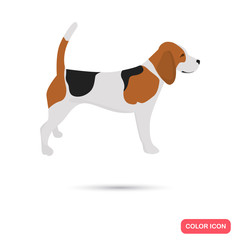 Beagle dog color flat icon for web and mobile design