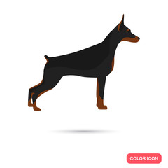 Doberman color flat icon for web and mobile design
