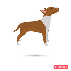 Bull terrier color flat icon for web and mobile design